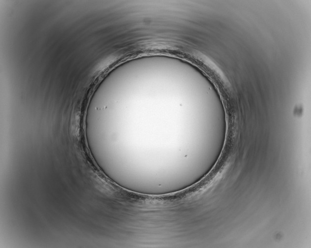 X0000102370777200808151834