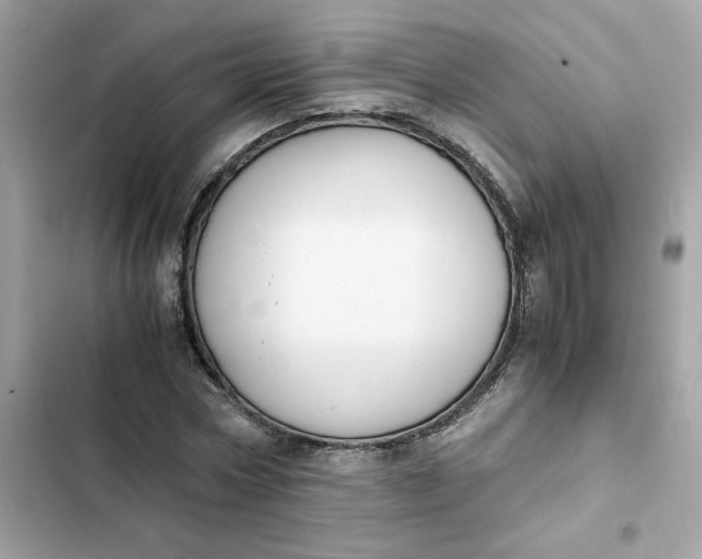 X0000102370778200808151834