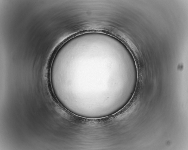 X0000102370779200808151834