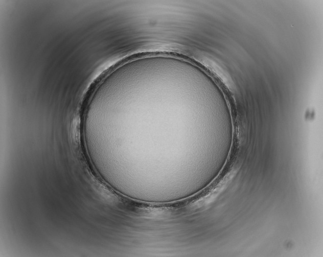 X0000102370781200808151834