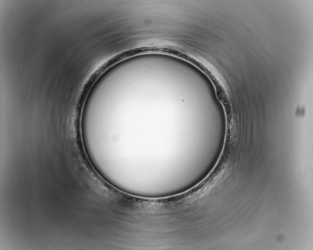 X0000102370783200808151834