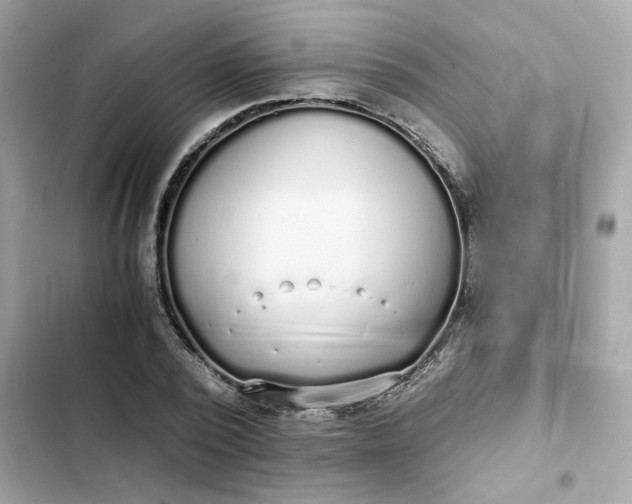 X0000102370784200808151834