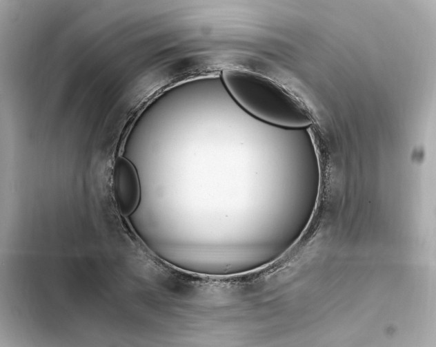 X0000102370785200808151834