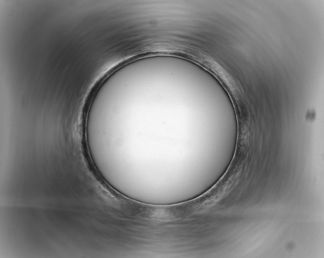 X0000102370787200808151834