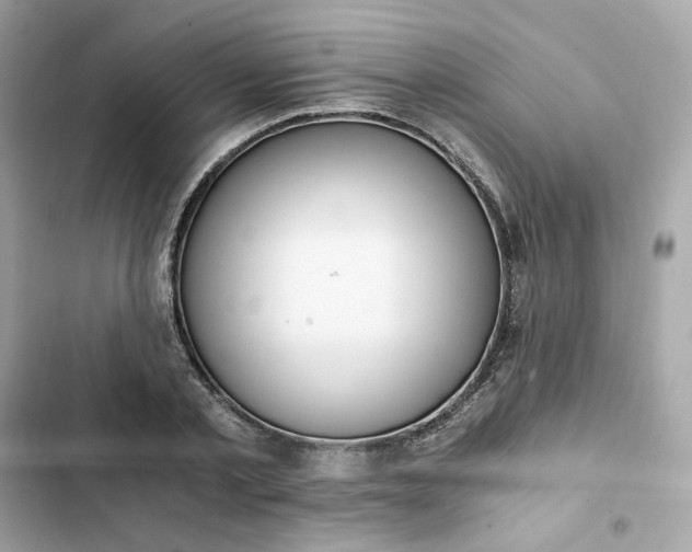 X0000102370789200808151834