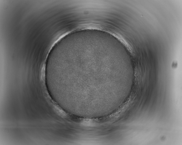 X0000102370790200808151834