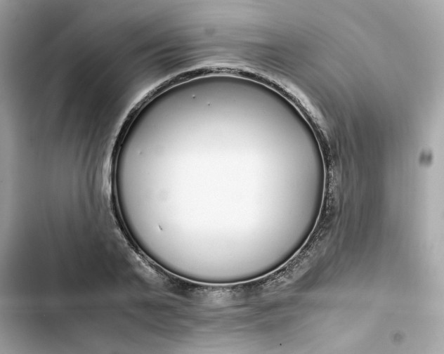 X0000102370791200808151834