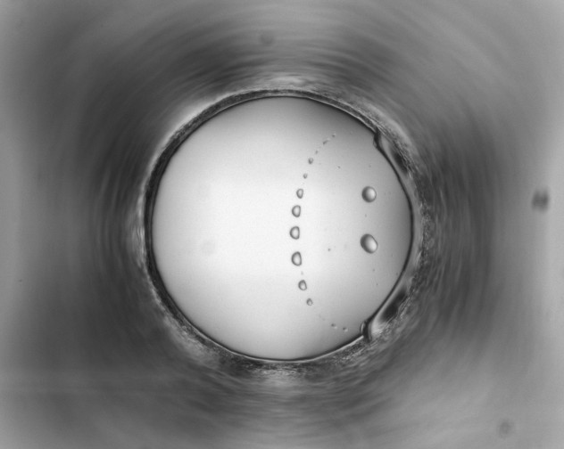 X0000102370792200808151834