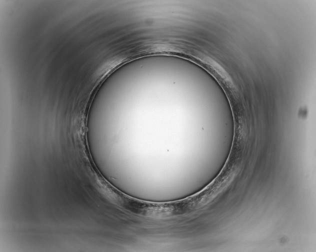 X0000102370793200808151834