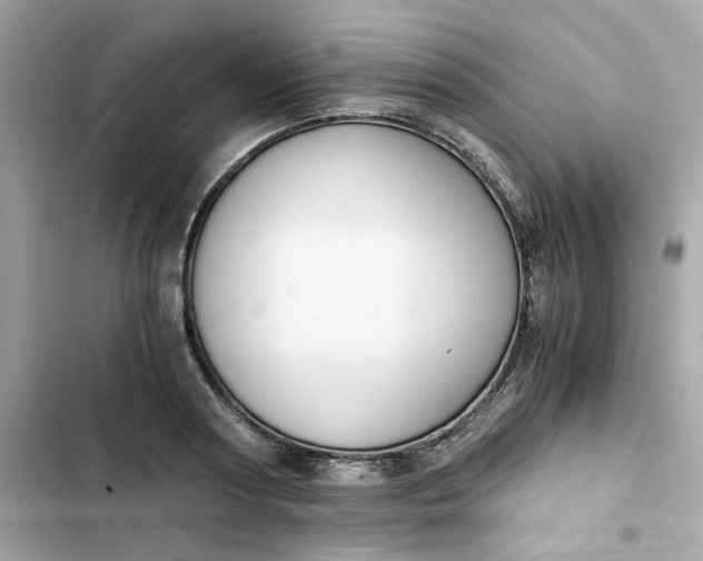 X0000102370794200808151834