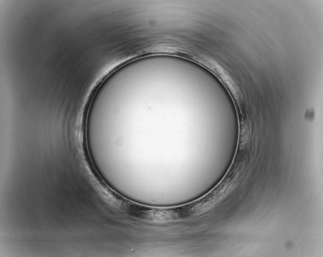 X0000102370795200808151834