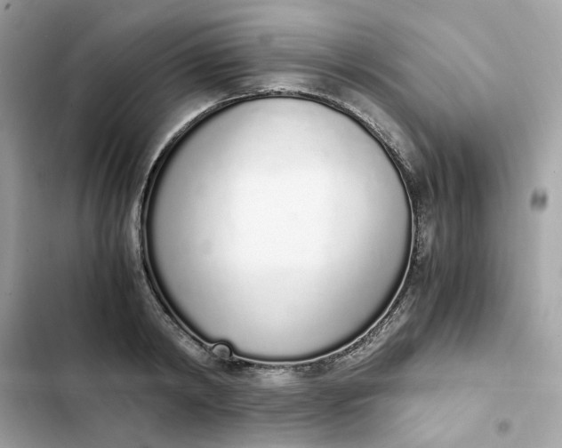 X0000102370798200808151834