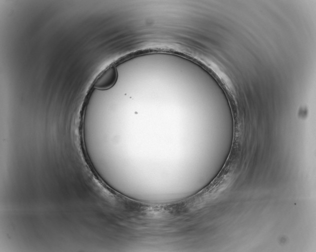 X0000102370799200808151834