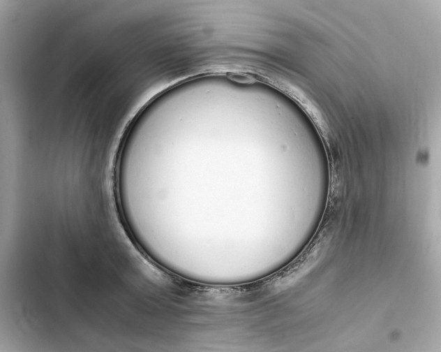 X0000102370803200808151834