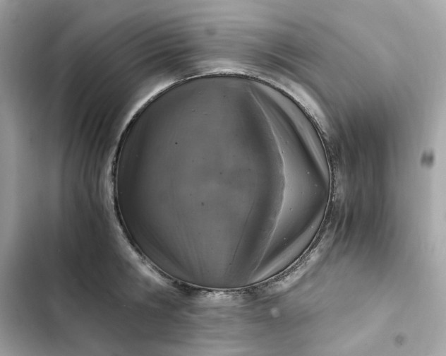 X0000102370806200808151834