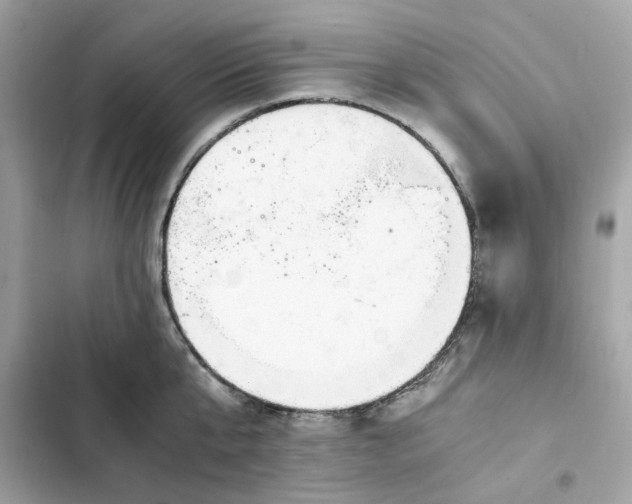 X0000102370807200808151834