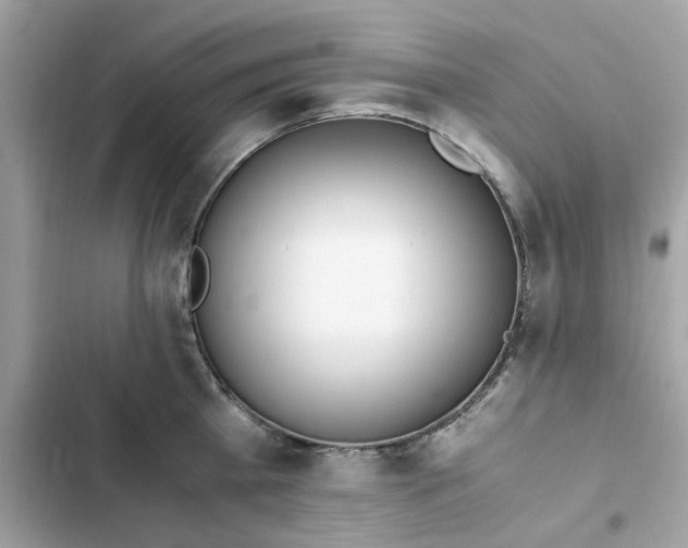 X0000102370809200808151834