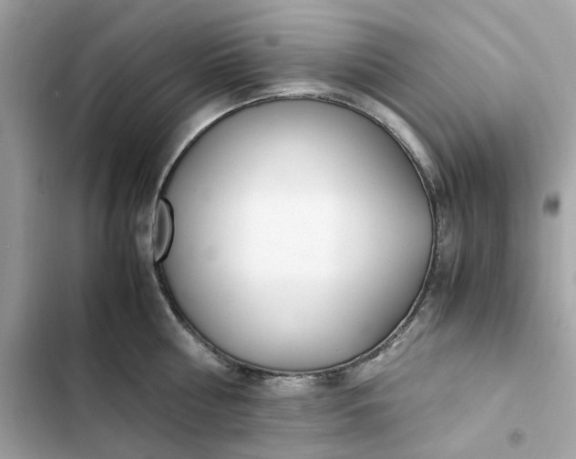 X0000102370810200808151834