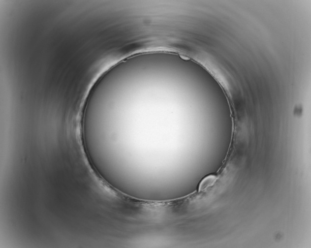 X0000102370813200808151834