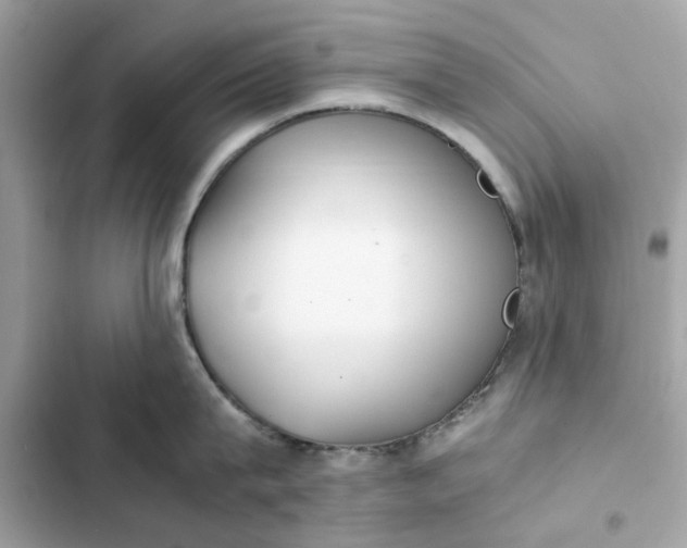 X0000102370815200808151833