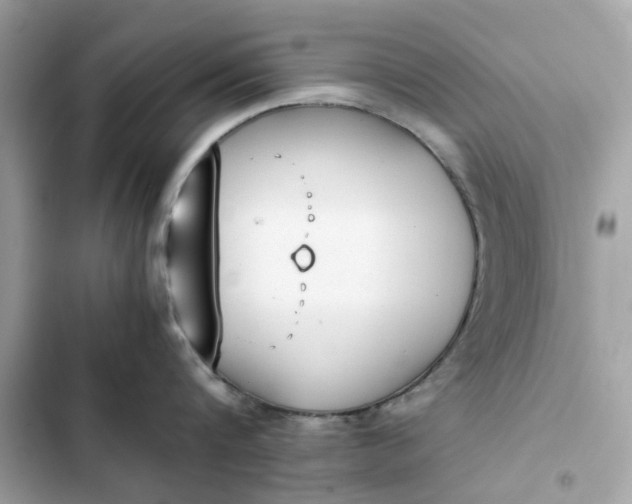 X0000102370816200808151833