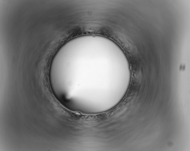 X0000102370817200808151833