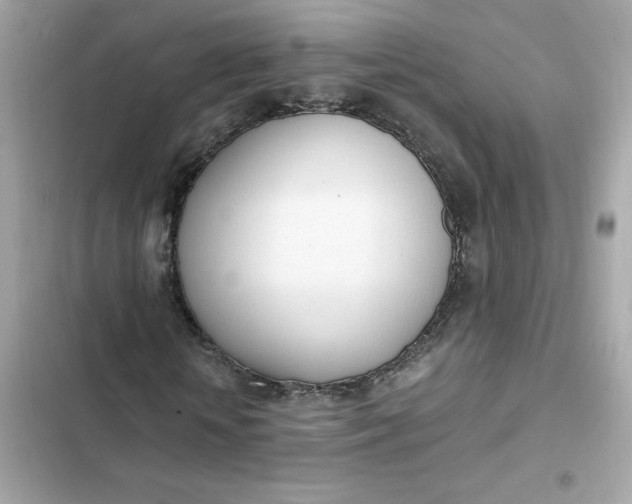 X0000102370818200808151833