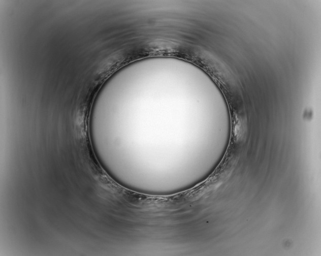 X0000102370819200808151833