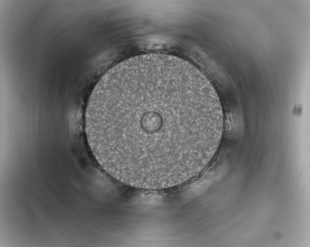 X0000102370820200808151833