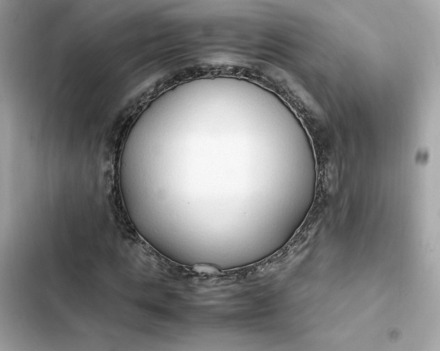 X0000102370821200808151833