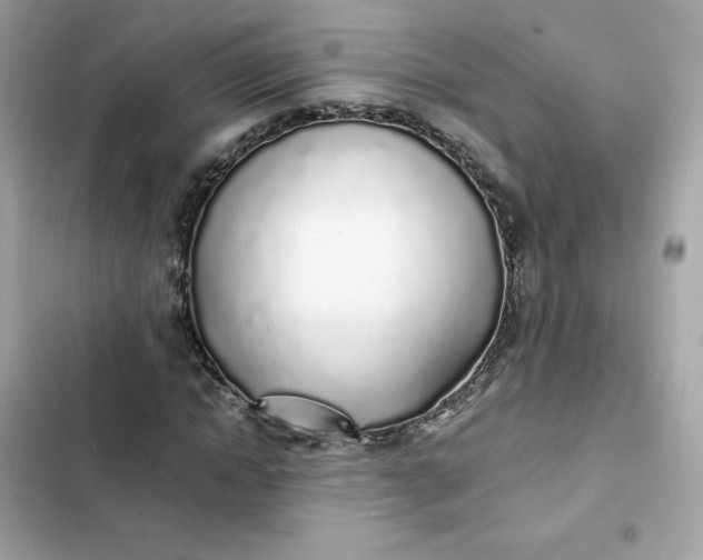 X0000102370822200808151833