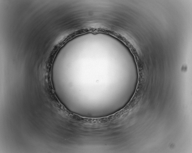 X0000102370823200808151833