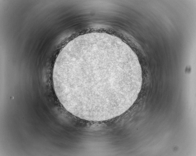 X0000102370824200808151833