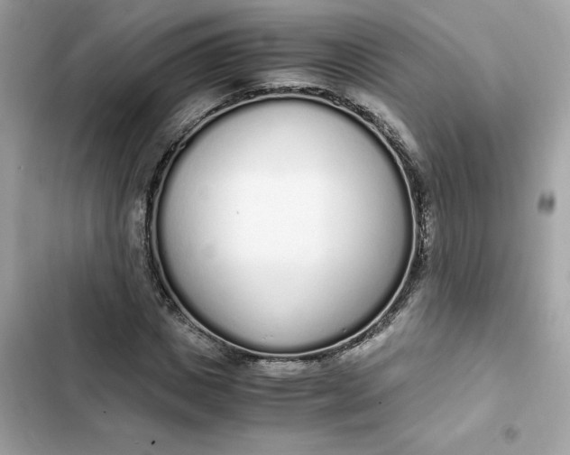 X0000102370825200808151833