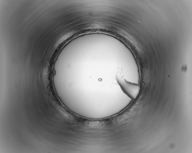 X0000102370826200808151833