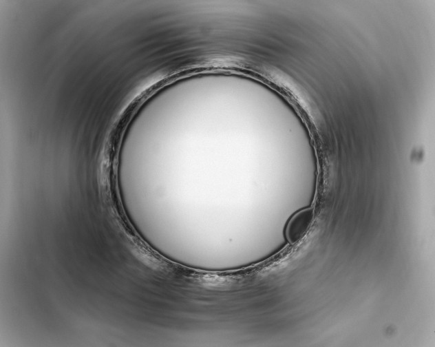 X0000102370827200808151833