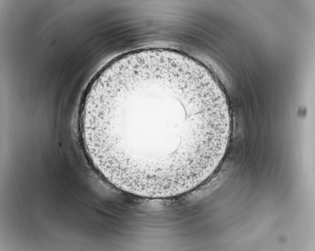 X0000102370828200808151833