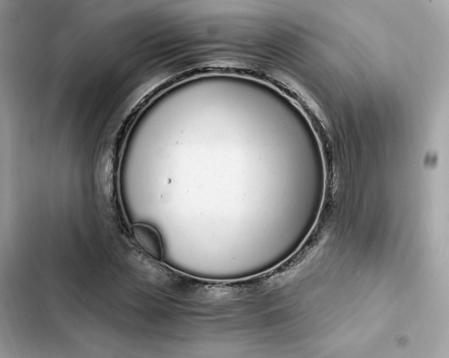 X0000102370829200808151833