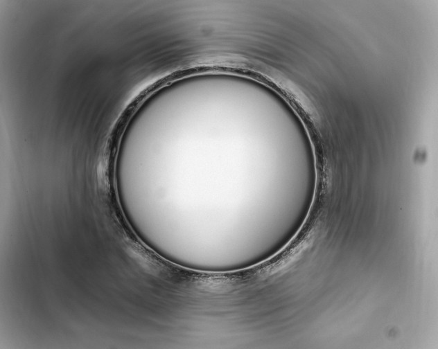 X0000102370830200808151833