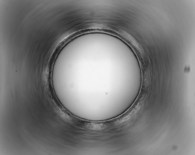 X0000102370831200808151833