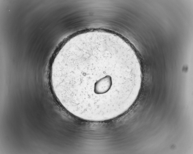 X0000102370832200808151833