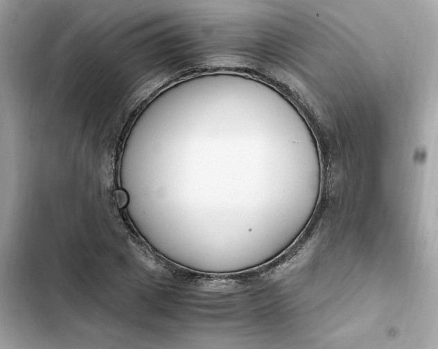 X0000102370833200808151833