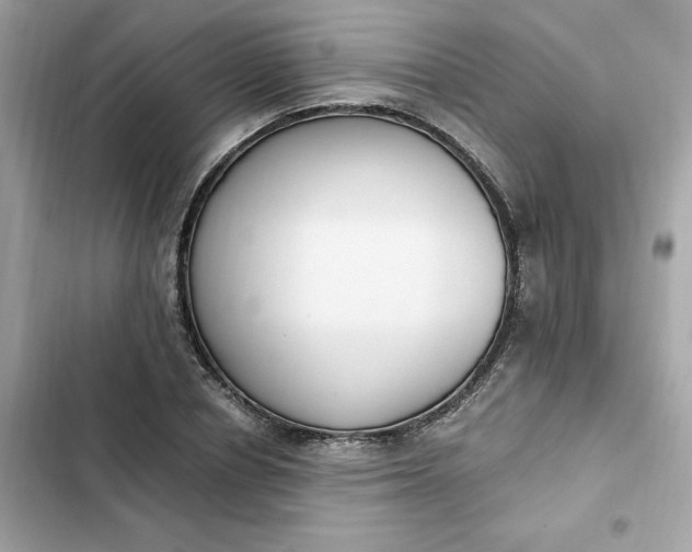 X0000102370834200808151833