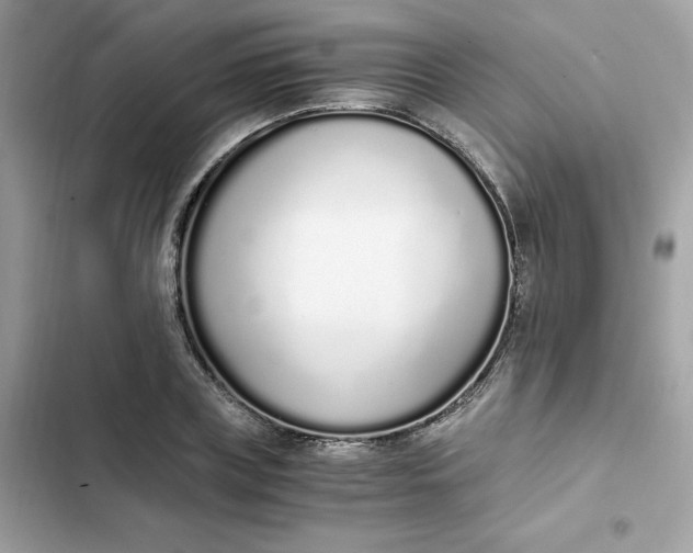 X0000102370835200808151833