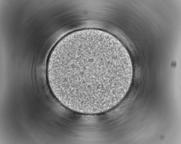 X0000102370836200808151833