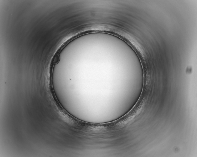 X0000102370837200808151833