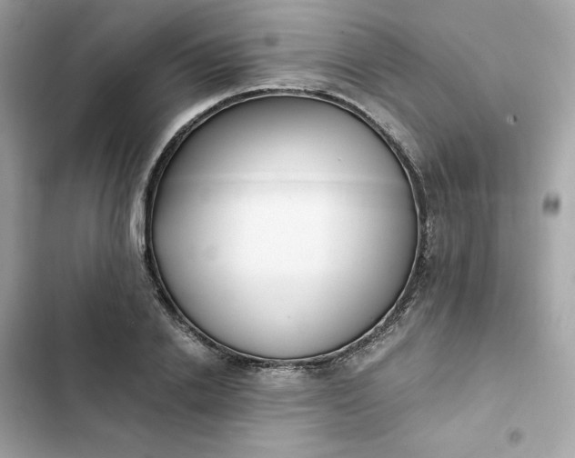 X0000102370838200808151833