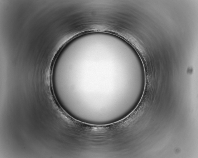 X0000102370839200808151833