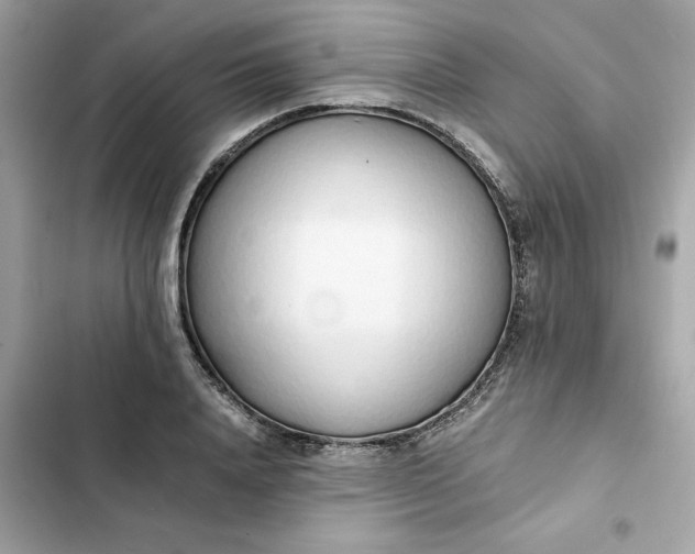 X0000102370840200808151833