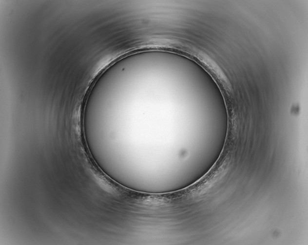 X0000102370842200808151833